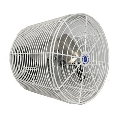 Image showing  12 in. Indoor/Outdoor Circulation Fan with Tapered Guards