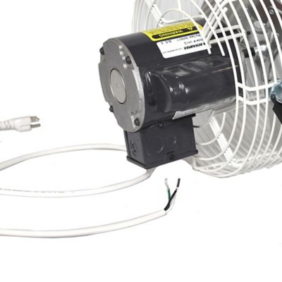 Image showing  12 in. Indoor/Outdoor Circulation Fan with Tapered Guards