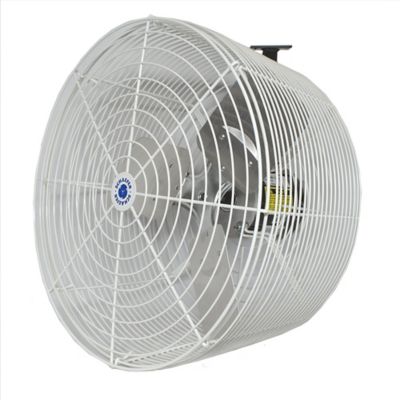 Image showing  20 in. Indoor/Outdoor Circulation Fan with Tapered Guards