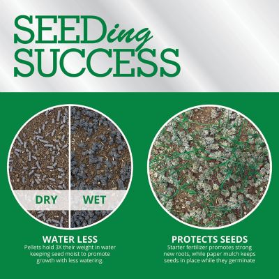 Image showing  38 lb. 760 sq. ft. Fairway Formula Seeding Success Fertilizer