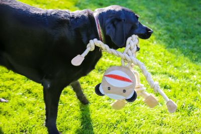 Image showing  Knottie Rope Dog Toy, Extra Large