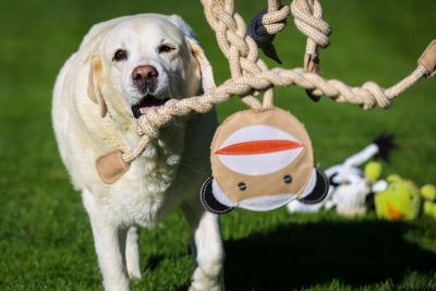 Image showing  Knottie Rope Dog Toy, Extra Large