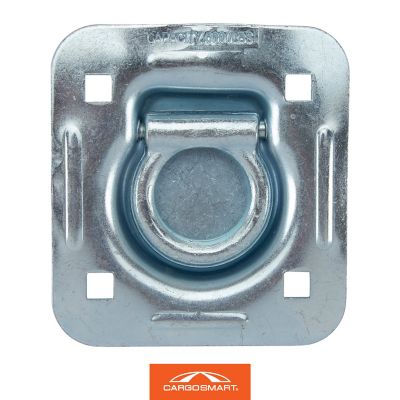 Image showing  Heavy-Duty Bolt-On Recessed-Mount D-Ring with Back Plate