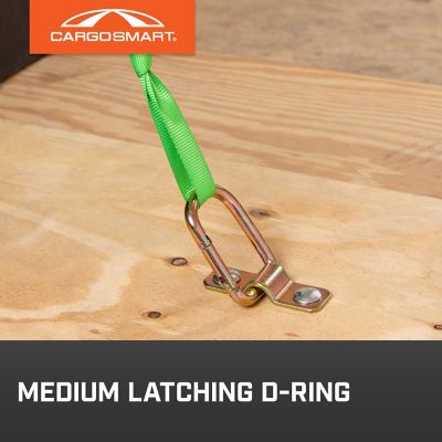 Image showing  Light-Duty Medium Latching D-Ring
