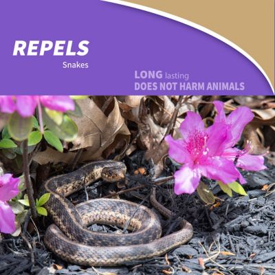 Image showing  32 oz. Snake Repellent, Ready-to-Spray, Deter Snakes from Yard & Garden, People & Pet Safe