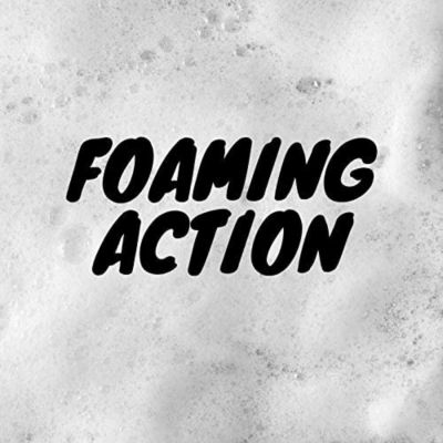 Image showing  16 oz. 5-Minute Bed Bug Killer Foaming Aerosol Spray