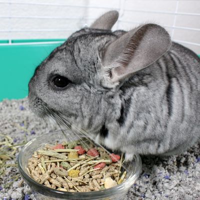 Image showing  Vita Prima Complete Nutrition Pelleted Chinchilla Food, 3 lb. Bag