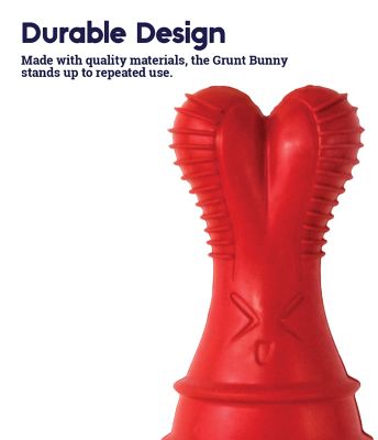 Image showing  Grunt Fetch Stick Bunny Dog Chew Toy, Red