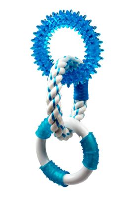 Multipet Assorted Canine Clean 3-Ring Dog Chew Toy