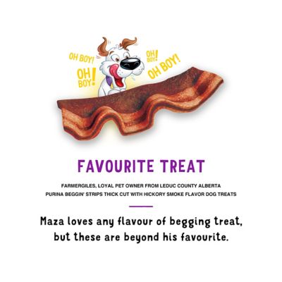 Image showing  Strips Hickory Flavored Dog Treats, 40 oz.