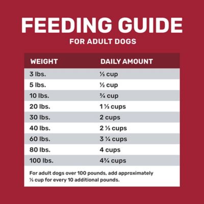 Image showing 5 th 4health with Wholesome Grains Adult Beef and Rice Formula Dry Dog Food
