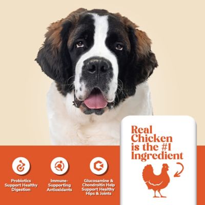 Image showing  Adult Large Breed And Mobility Chicken and Rice Dry Dog Food