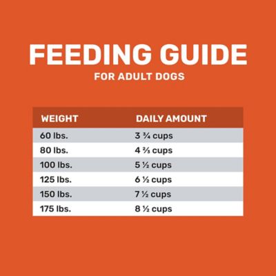 Image showing 5 th 4health with Wholesome Grains Adult Large Breed And Mobility Chicken and Rice Dry Dog Food