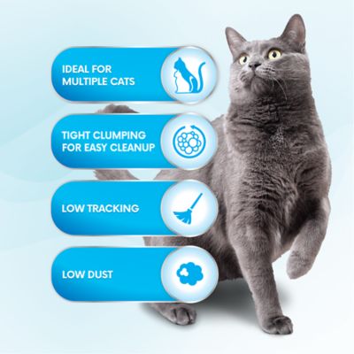 Image showing  Fresh-N-Free Unscented Clumping Cat Litter, 35 lb. Pail