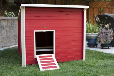 New Age Pet ecoFLEX Jumbo Fontana Chicken Barn, Red