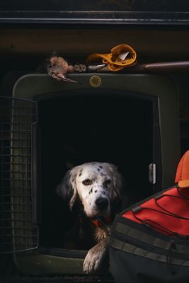 Image showing 5 th Dakota 283 35.2 in. G3 Framed Door Kennel, Large, Olive