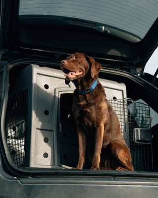 Image showing  2-Door Side Entry Plastic Pet Kennel, Medium, Dark Granite