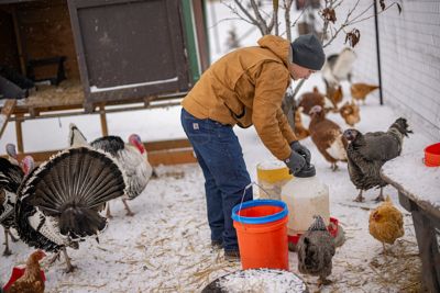 Image showing  Men's Washed Duck Bartlett Hooded Jacket