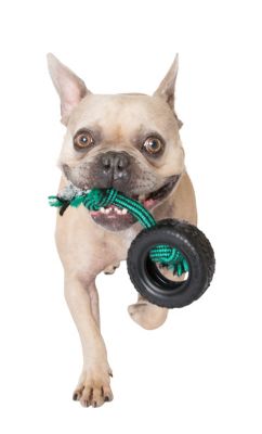 Image showing  Small Tirebiter II with Rope