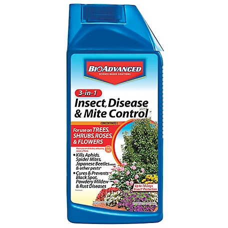 BioAdvanced 32 oz. 3-in-1 Insect Disease and Mite Control Concentrate