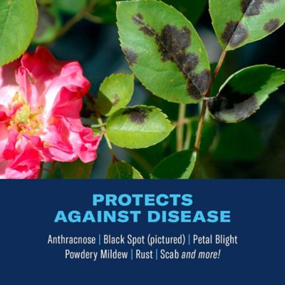 Image showing  32 oz. 3-in-1 Insect Disease and Mite Control Concentrate