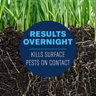 Image showing  24 Hr Grub Killer Plus Granules 10M 700745S