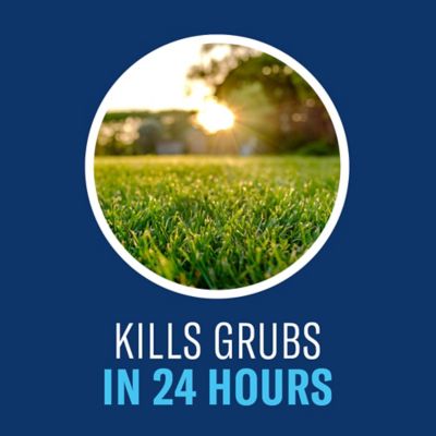 Image showing  24 Hr Grub Killer Plus Granules 10M 700745S