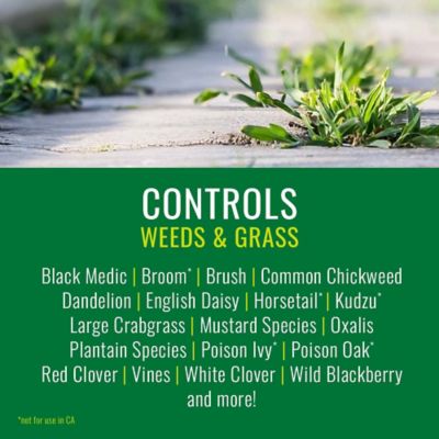 Image showing  Grass/Weed Control with Root Killer, 32 oz.