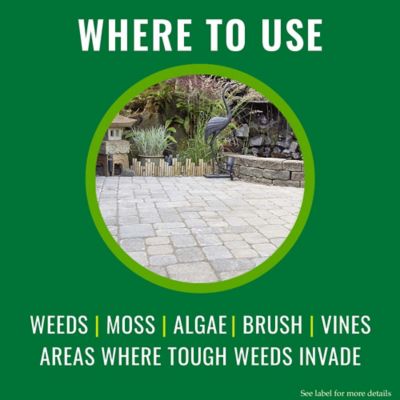 Image showing  Grass/Weed Control with Root Killer, 32 oz.