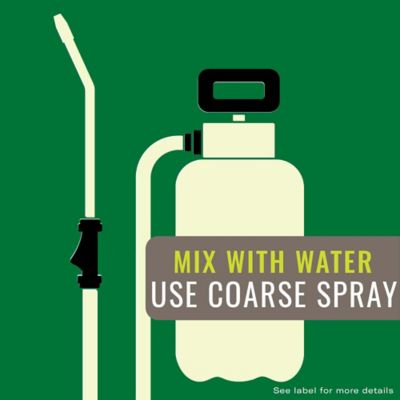 Image showing  Grass/Weed Control with Root Killer, 32 oz.