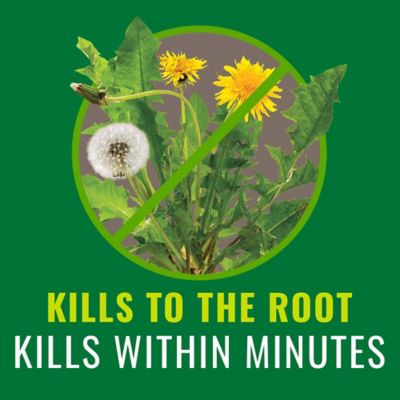 Image showing  Grass/Weed Control with Root Killer, 32 oz.