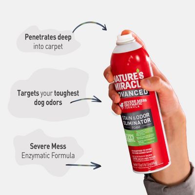 Image showing  Advanced Dog Stain and Odor Foam Aerosol 17.5 oz.