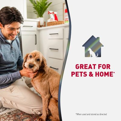 Image showing 5 th Nature's Miracle Advanced Dog Stain and Odor Foam Aerosol 17.5 oz.