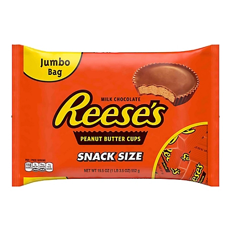 Reese's Snack-Size Peanut Butter Cups, 19 ct.