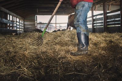 Image showing  Unisex Chesapeake Boots