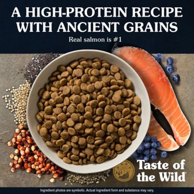Image showing  Ancient Stream All Life Stages with Ancient Grains Smoke-Flavored Salmon Dry Dog Food