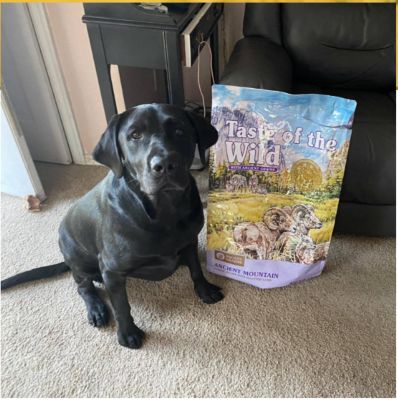 Image showing  Ancient Mountain All Life Stages Roasted Lamb Recipe Dry Dog Food