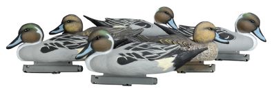 image of a Duck & Goose Decoys