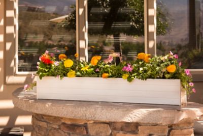 New Age Garden Window Box, 48 in.