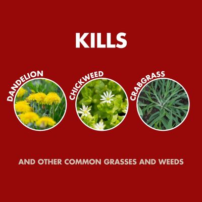 Image showing  1.33 gal. Weed and Grass Killer2 AccuShot Sprayer