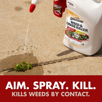Image showing  1.33 gal. Weed and Grass Killer2 AccuShot Sprayer