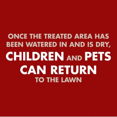 Image showing  1.33 gal. Weed and Grass Killer2 AccuShot Sprayer