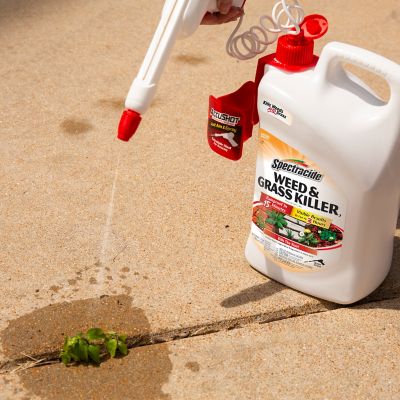 Image showing 9 th Spectracide 1.33 gal. Weed and Grass Killer2 AccuShot Sprayer