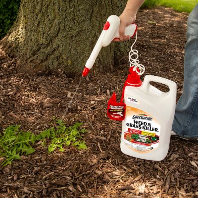 Image showing 10 th Spectracide 1.33 gal. Weed and Grass Killer2 AccuShot Sprayer