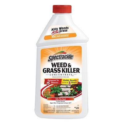 Spectracide 32 fl. oz. Weed and Grass Killer Concentrate