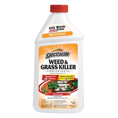 Gordon s 1 gal. Trimec Lawn Weed Killer Concentrate at Tractor Supply Co