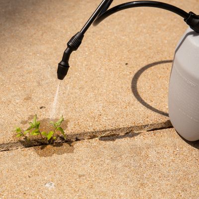 Image showing  32 fl. oz. Weed and Grass Killer Concentrate