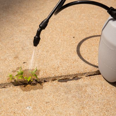 Image showing  32 fl. oz. Weed and Grass Killer Concentrate with Extended Control