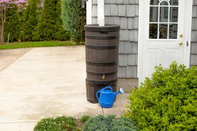 Image showing  50 gal. American Oak Rain Barrel, Oak, Darkened Ribs, Stand Included