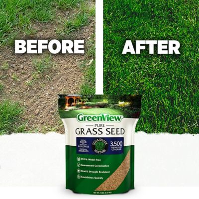 Image showing  Pure Grass Seed Sun & Shade Mixture, 7 lb. Bag - Covers up to 3,500 sq. ft.
